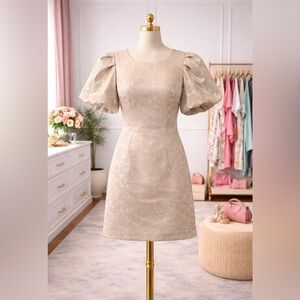 Elegant Beige Puff Sleeve Dress